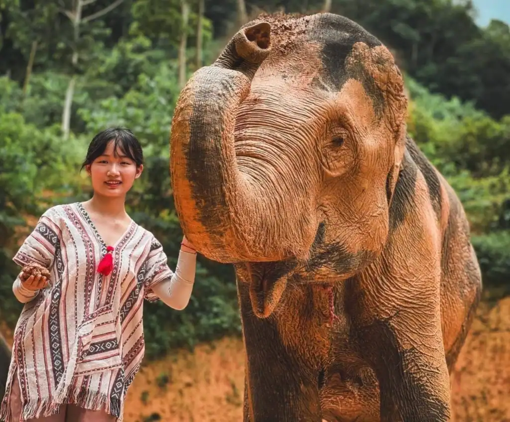 Santuario etico degli elefanti a Phuket