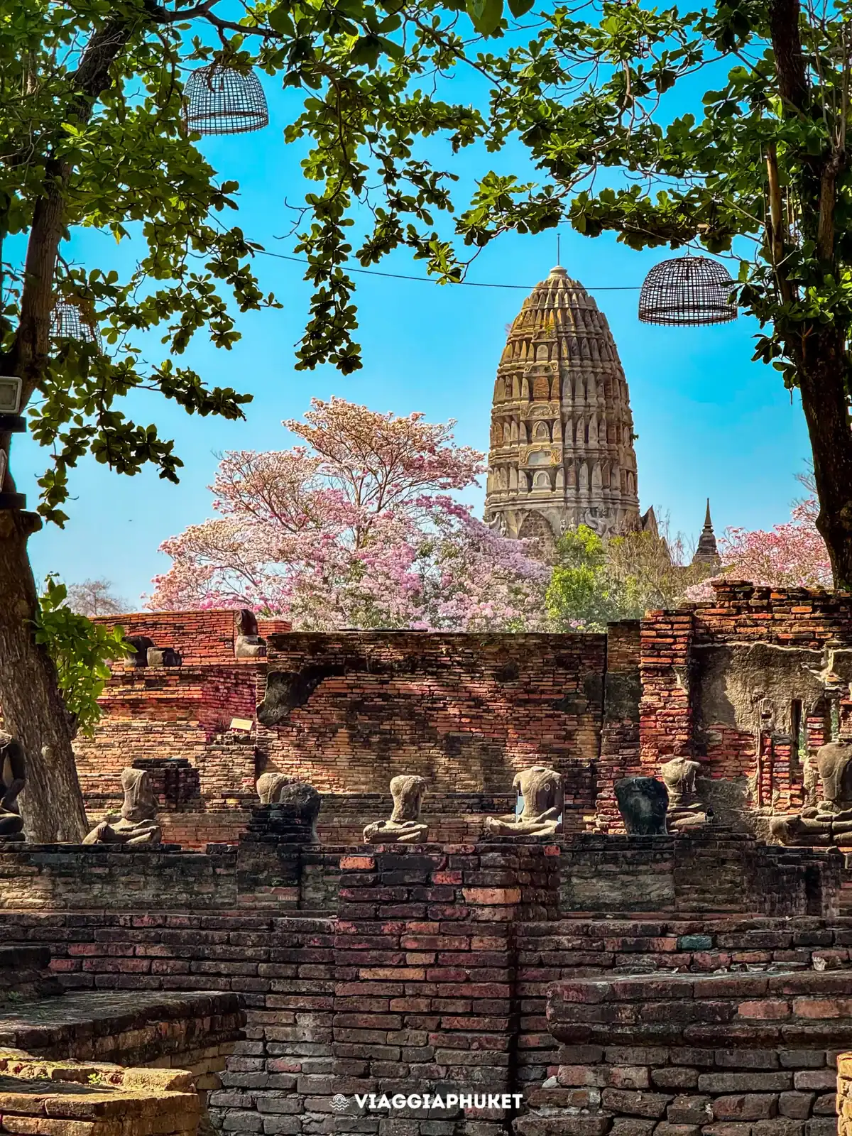 Tour Ayutthaya-7