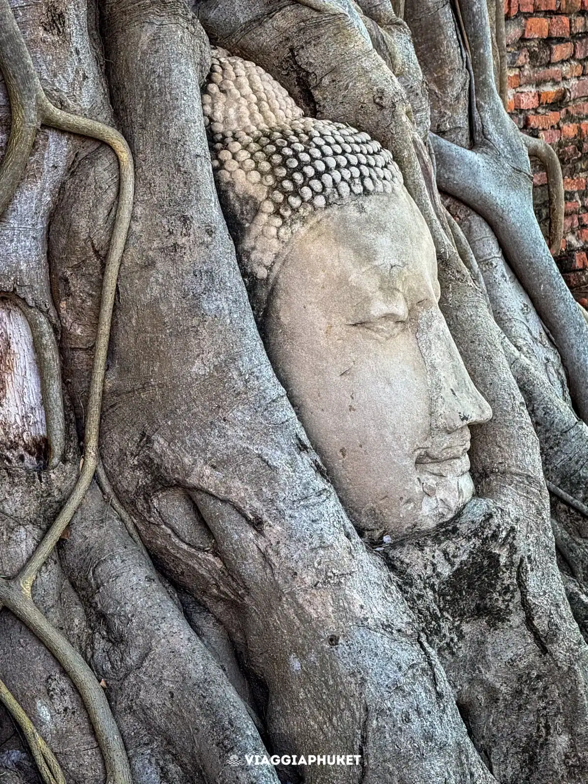 Tour Ayutthaya-9