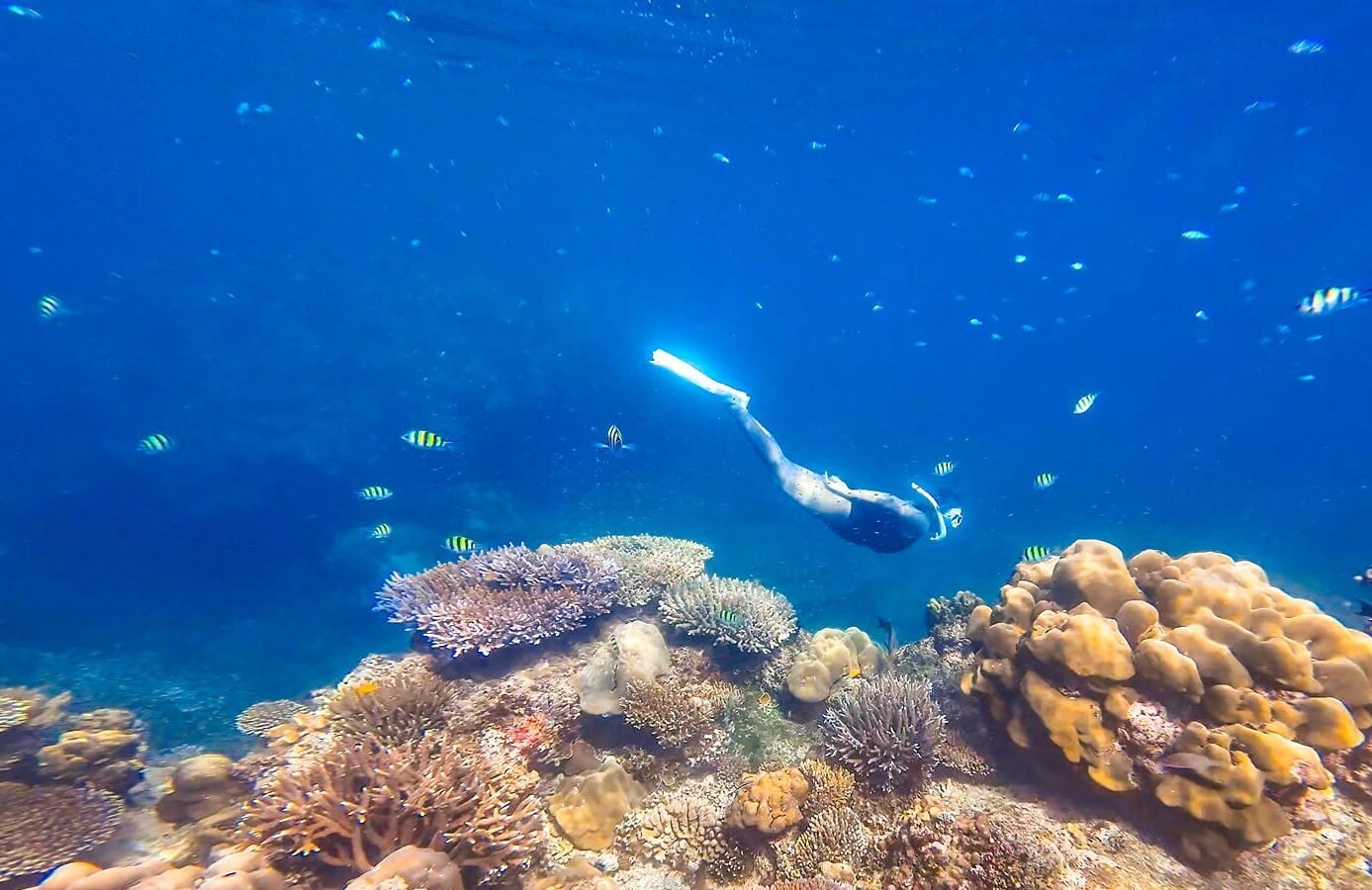 Escursione Surin con pernottamento tour due giorni una notte