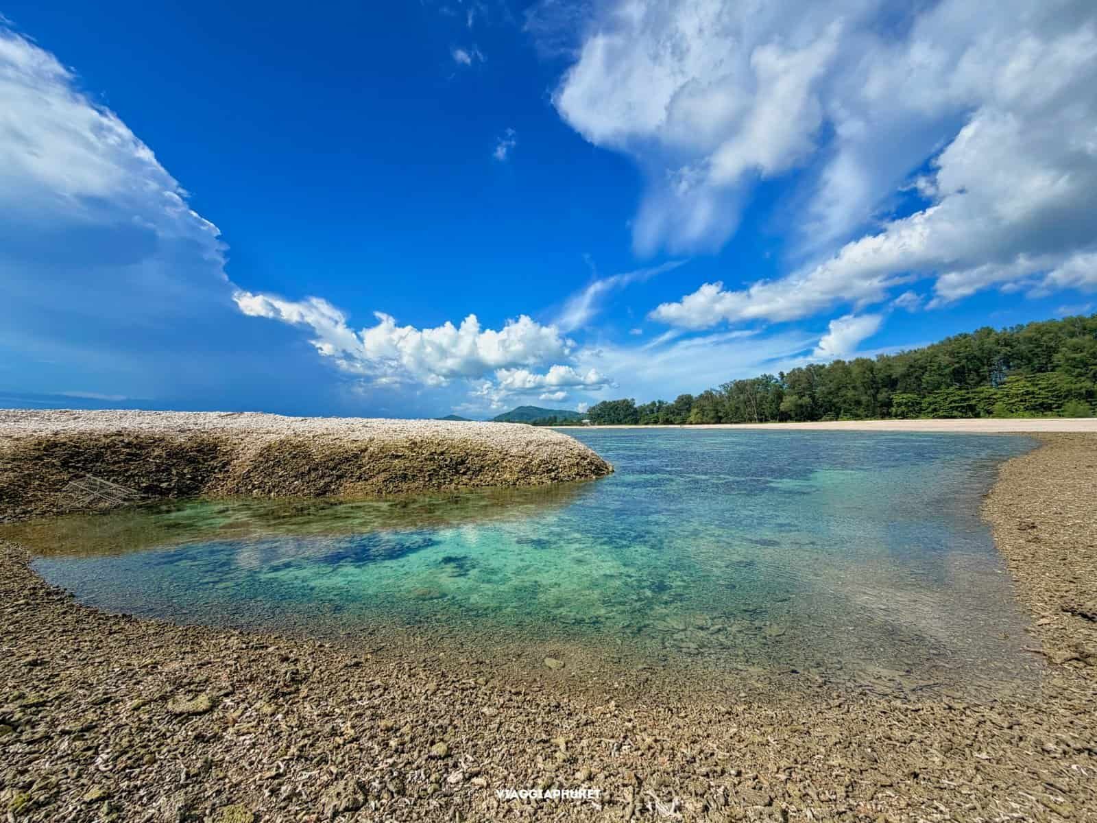 Alberi e costa nel Parco Nazionale Sirinat