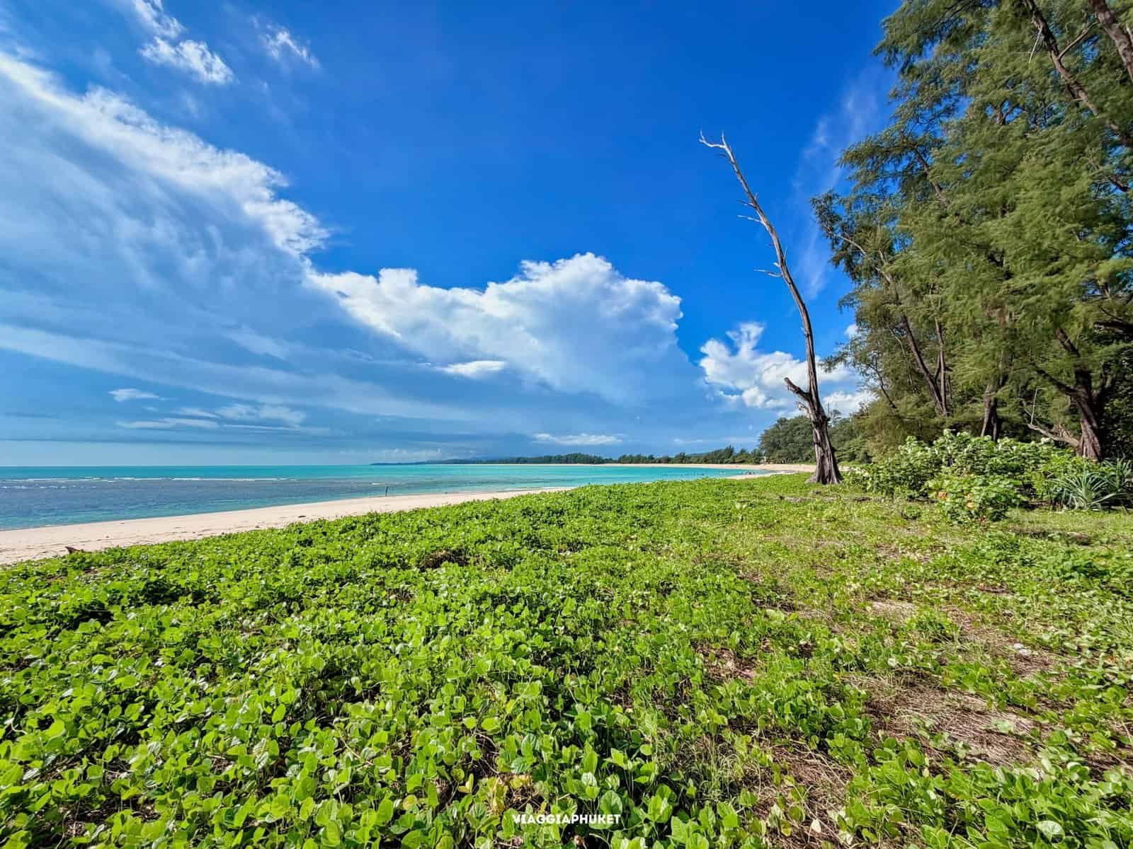 Vista del mare nel Parco Sirinat a Phuket