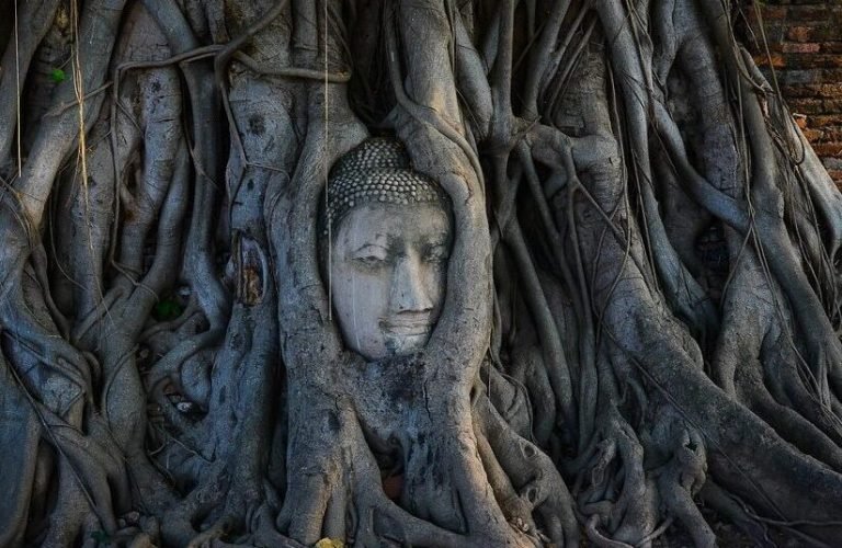 Ayutthaya escursione in italiano Ayutthaya escursione in italiano