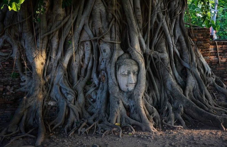 Ayutthaya escursione in italiano